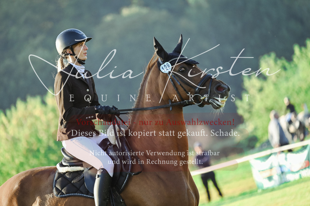 DSC_3921 | Pferde- und Turnierfotografie in Westsachsen. Pferdeportraits, Auftragszeichnungen und intuitive Kunst.