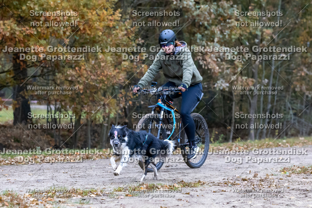 Dog Paparazzi - SD CaniX Championship 2025-261 | Dog Paparazzi Jeanette Grottendiek Fotografie & Videografie - Realisiert mit Pictrs.com