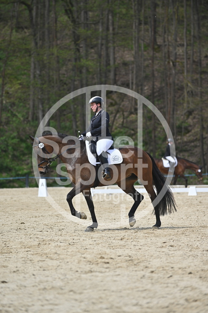 DSC_3258 | sattelsport - Realisiert mit Pictrs.com