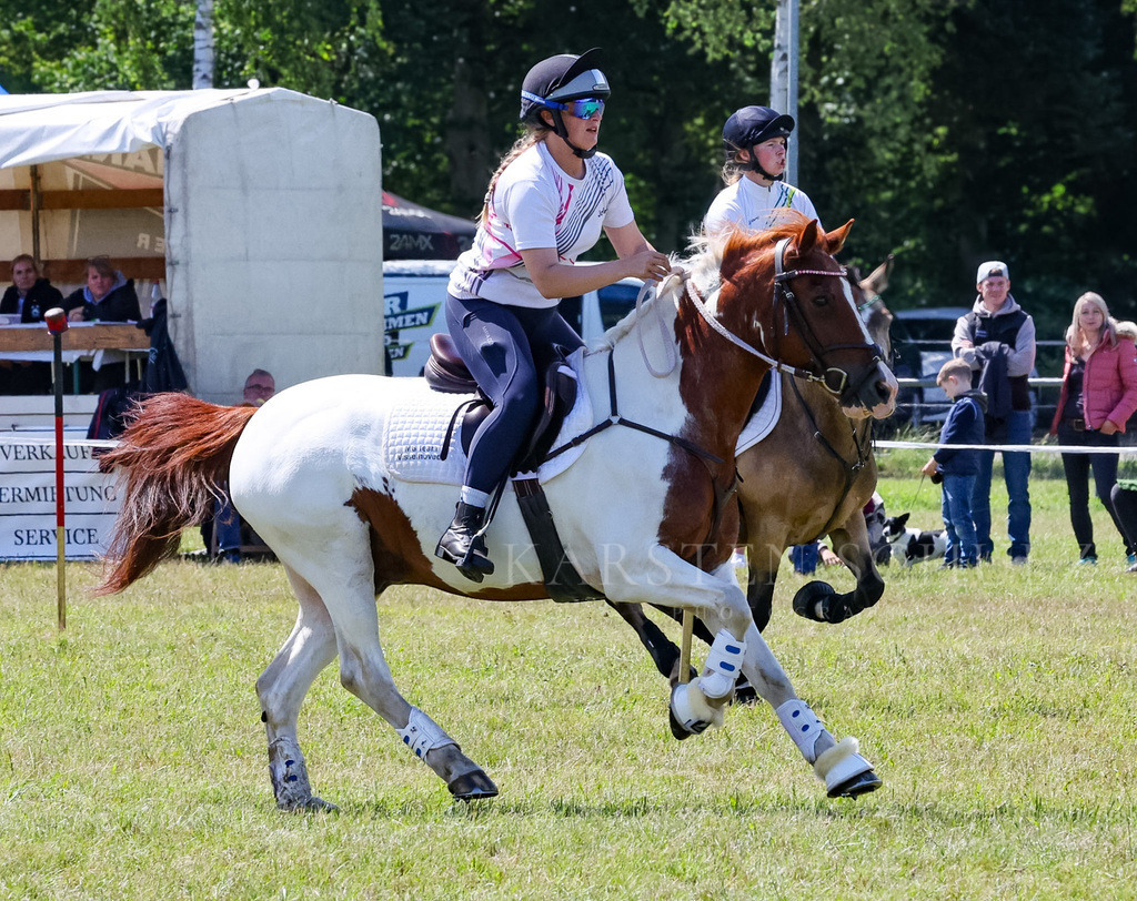 IMG_1633 | Reitsport Reiten