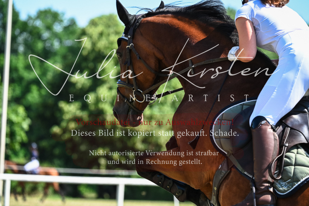 DSC_1208 | Pferde- und Turnierfotografie in Westsachsen. Pferdeportraits, Auftragszeichnungen und intuitive Kunst.