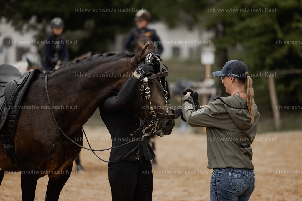 WE__Stoib_Rinder_PI2025_3073 | Pferd International München 2025