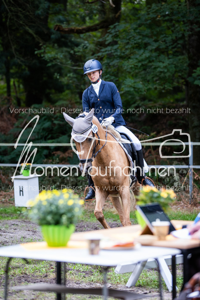 HB-A-Dressur-032 | MomenTaufnahmen Pferdesportfotos