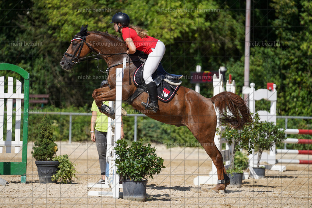 20240824-FAH08384 | Thierhaupten 2024, Bayerisches Landesponyturnier, Turnierbilder, Ponybilder, Turnierfotografen Bayern, Fotoagentur Herrmann