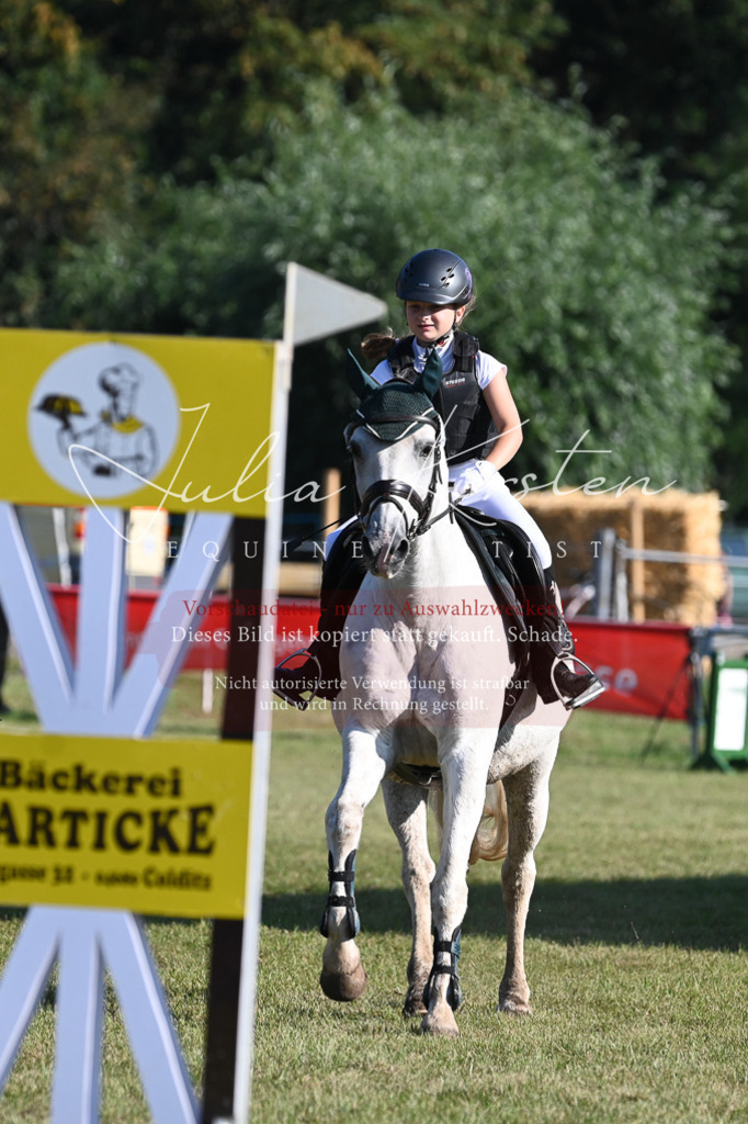DSC_5195 | Pferde- und Turnierfotografie in Westsachsen. Pferdeportraits, Auftragszeichnungen und intuitive Kunst.