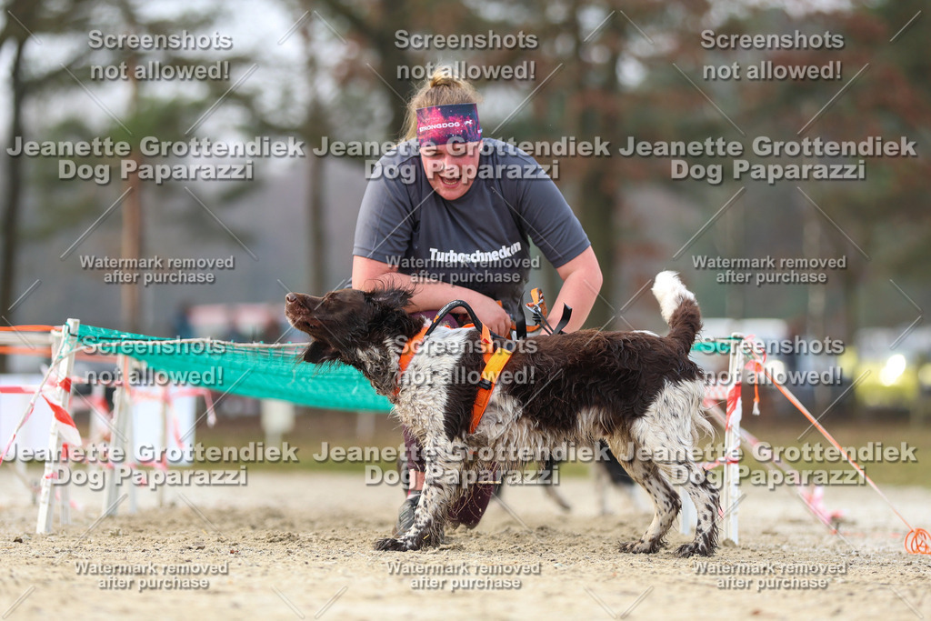 Dog Paparazzi - Strongdog North Mrz26-4330 | Dog Paparazzi Jeanette Grottendiek Fotografie & Videografie - Realisiert mit Pictrs.com