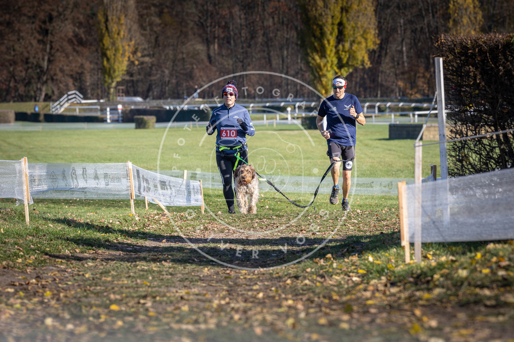 CaniXpix_DV3A9707 | Hundefotografie, Tierfotograf, Pfotenfotografie, Fotoshooting Hund, Hunde Portrait, Hundesport, Hundeportraits, Heideshooting, Hunde, Sportfotograf, Hundefotograf, Turnierhundsport, THS,  - Realisiert mit Pictrs.com