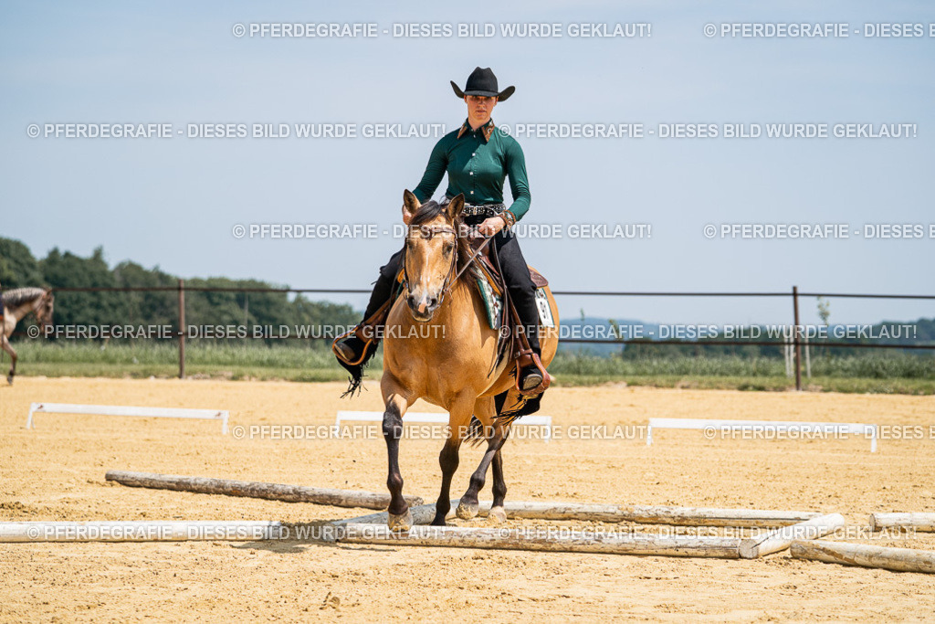 DSC01280 | Pferdegrafie