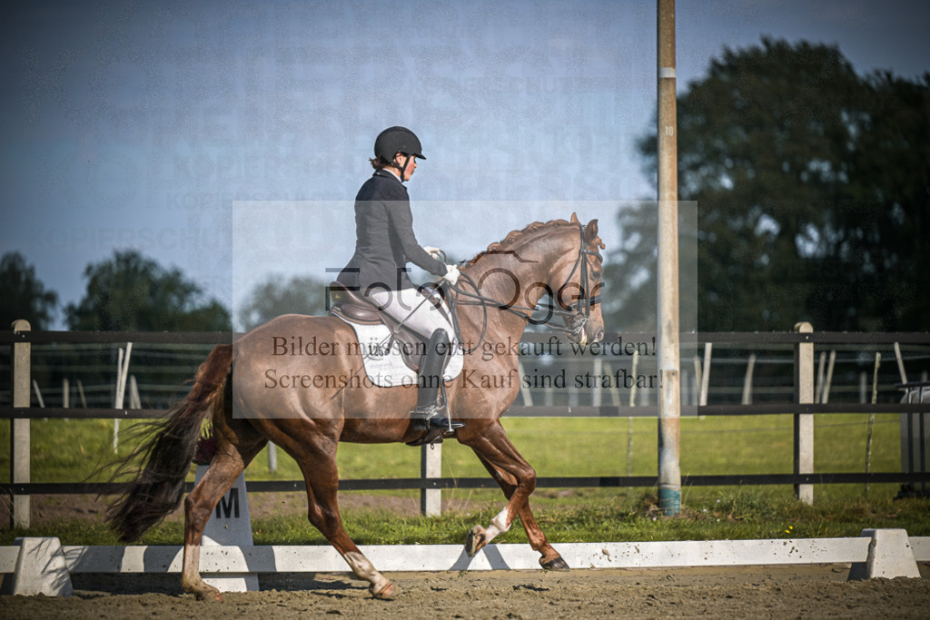 DOS_3745 | Entdecke hochwertige Reitturnierfotos von Foto Oger. Professionell, emotional und authentisch – jetzt Lieblingsmomente im Shop bestellen.Deutschlandweite Turnierfotografie. - Realisiert mit Pictrs.com