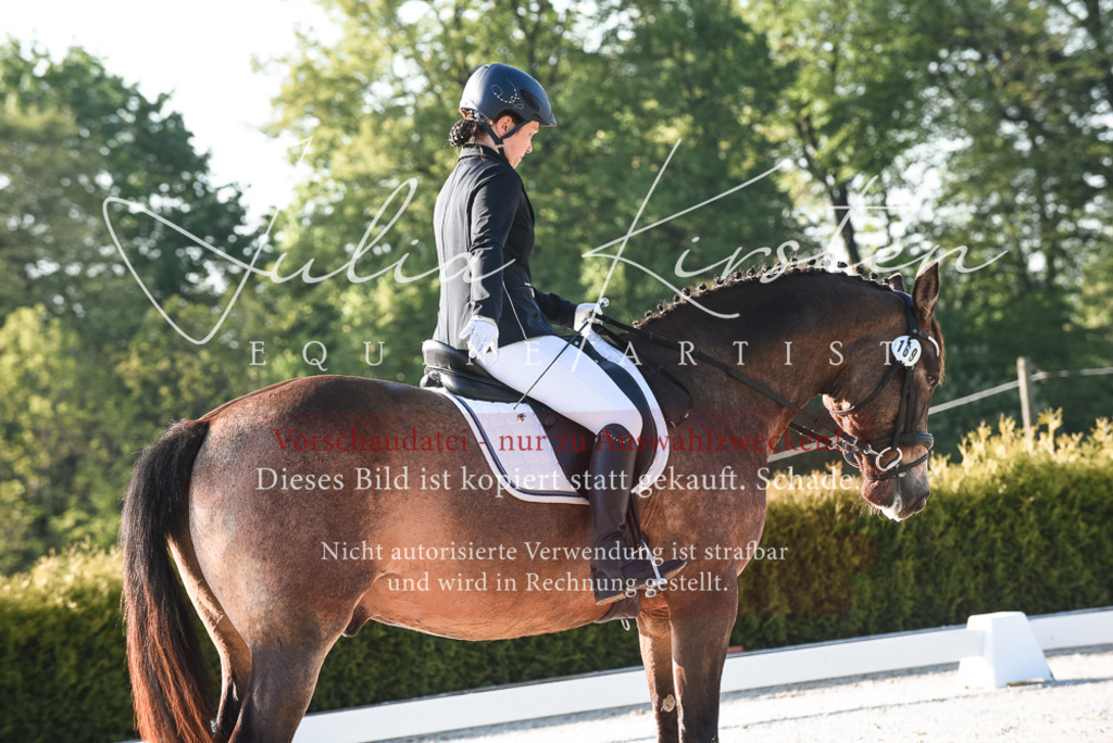 20230518_JK-Röhrsdorf-09-0036 | Pferde- und Turnierfotografie in Westsachsen. Pferdeportraits, Auftragszeichnungen und intuitive Kunst.