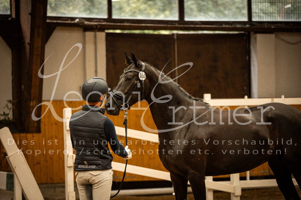 1FS_L00104 | Leoni Ertmer Photography - Realisiert mit Pictrs.com