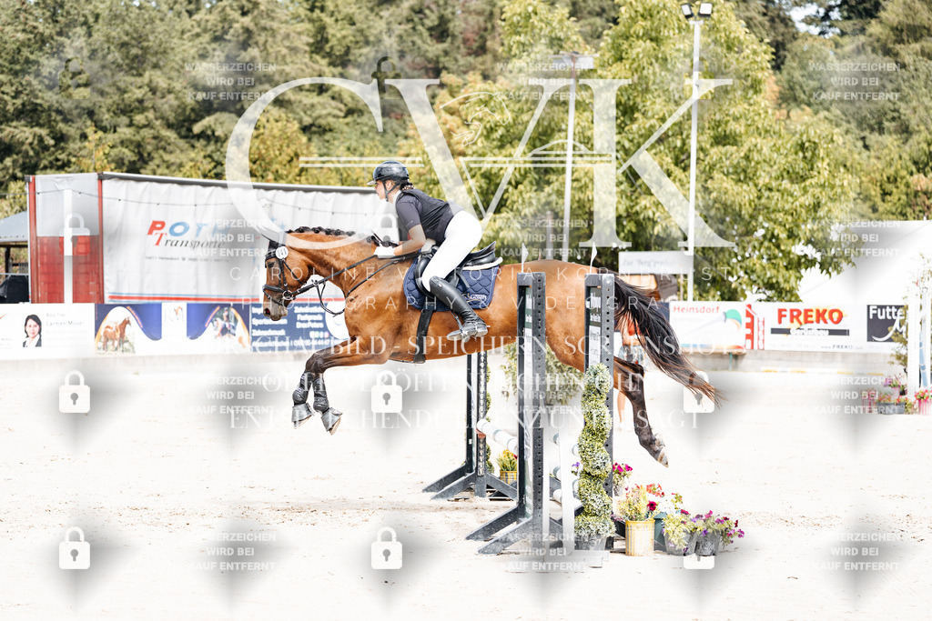 CK906517 | Turnierfotografie Pferdefotografie Trier Rheinland-Pfalz Pferdesport Reitsport Tierfotografie Sportfotografie Pferdevideo Pferdevideografie Equestrianvideography equestrianphotography  - Realisiert mit Pictrs.com
