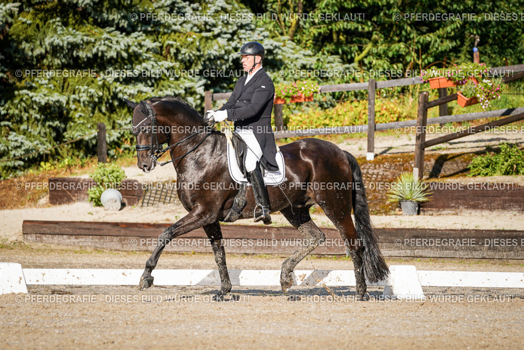 DSC00688 | Pferdegrafie