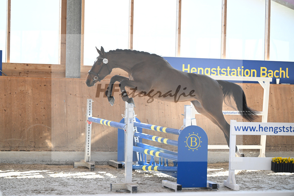 Kat-Nr. 63 Kelly du Tillard v. Aganix Du Seigneur_Keitel_14261710 | hf-fotografie - Realizzato con Pictrs.com