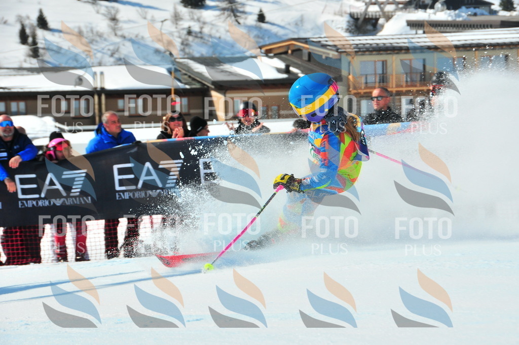 DSC_0772 | holidayphoto