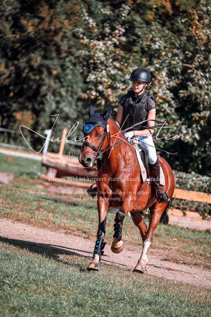DSC_0949 | Pferde- und Turnierfotografie in Westsachsen. Pferdeportraits, Auftragszeichnungen und intuitive Kunst.