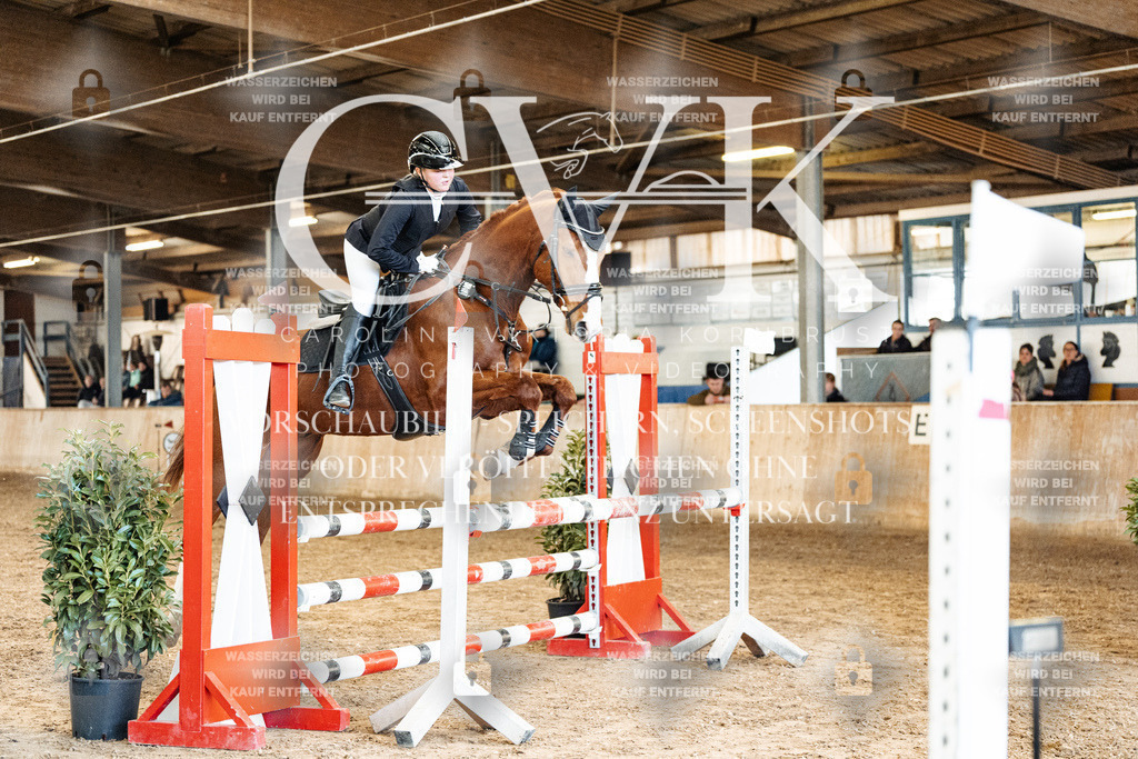 CK905056 | Turnierfotografie Pferdefotografie Trier Rheinland-Pfalz Pferdesport Reitsport Tierfotografie Sportfotografie Pferdevideo Pferdevideografie Equestrianvideography equestrianphotography  - Realized with Pictrs.com
