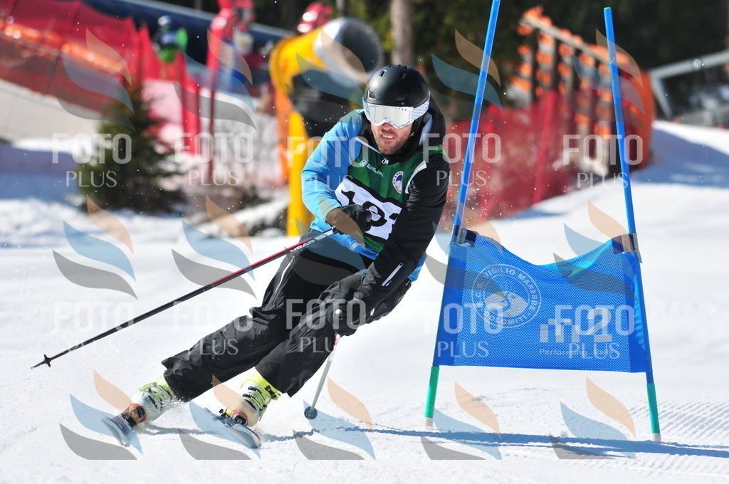 C4411 | holidayphoto