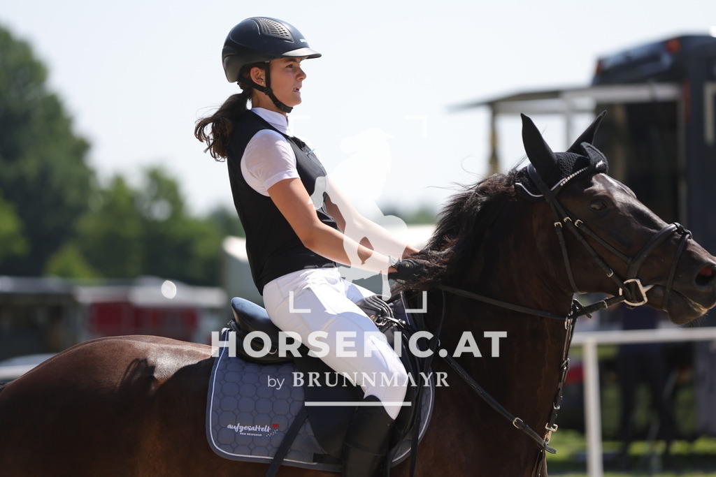 0P6A9076 | Willkommen bei Brunnmayr - Design & Fotografie – Ihrem Spezialisten für Reitturniere und Pferdeveranstaltungen in Oberösterreich, Salzburg und Bayern! Seit über 17 Jahren sind wir leidenschaftlich dabei.