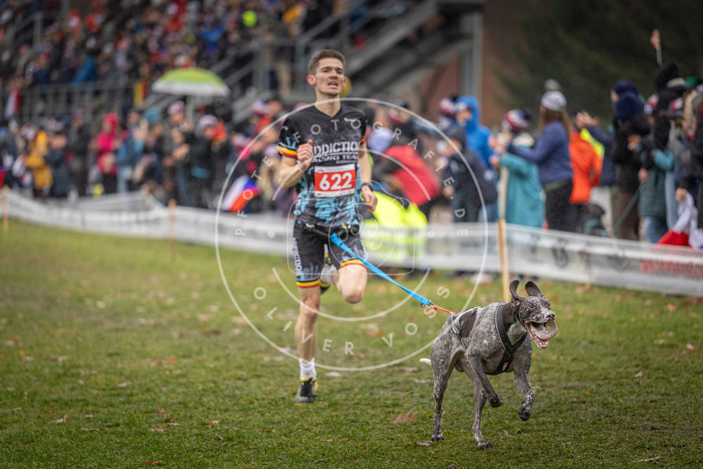 CaniXpix_DV3A9628 | Hundefotografie, Tierfotograf, Pfotenfotografie, Fotoshooting Hund, Hunde Portrait, Hundesport, Hundeportraits, Heideshooting, Hunde, Sportfotograf, Hundefotograf, Turnierhundsport, THS,  - Realisiert mit Pictrs.com