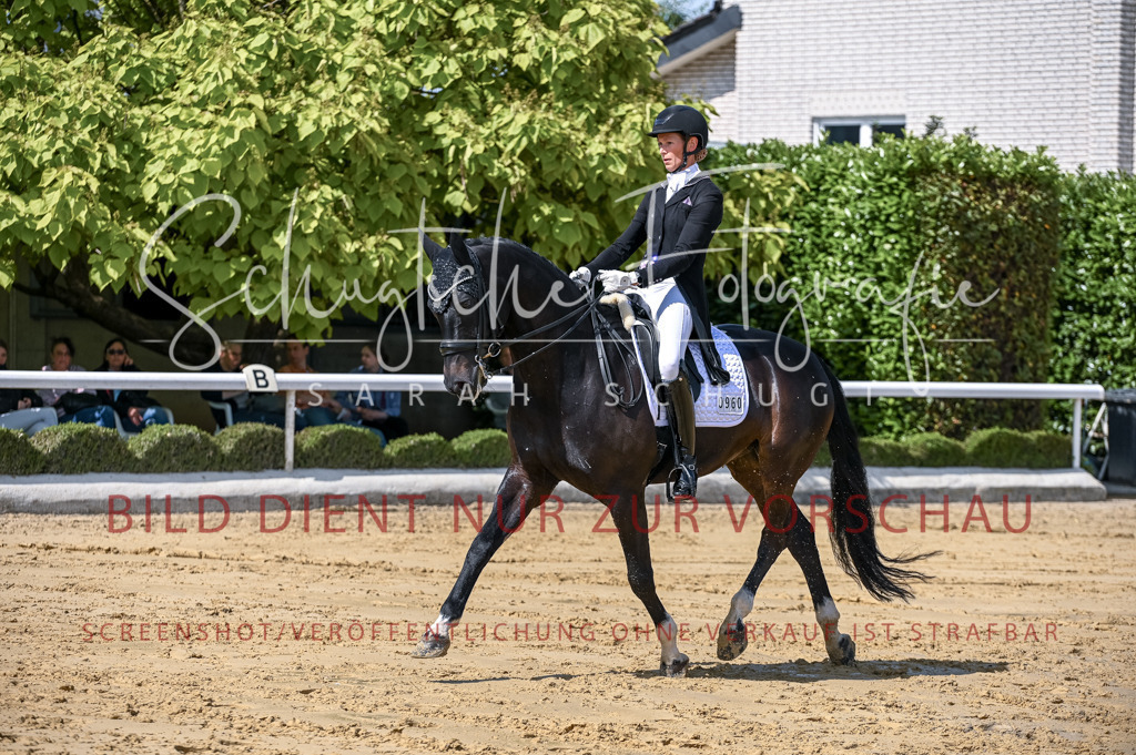 Schugtsche-Aluta25-58. Dressurprf.S1Kand.St.GeorgSpecial-182 | Schugtsche Fotografie - Realisiert mit Pictrs.com