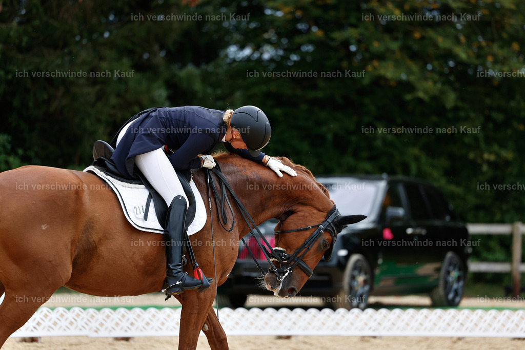 11-238-Dressur S___-StoibPH-997 | working equitationturnier fotograf videograf stoibphotography marixx film working equitation deutschland reitsport turnierfotografie eventfotografie equestrian events
