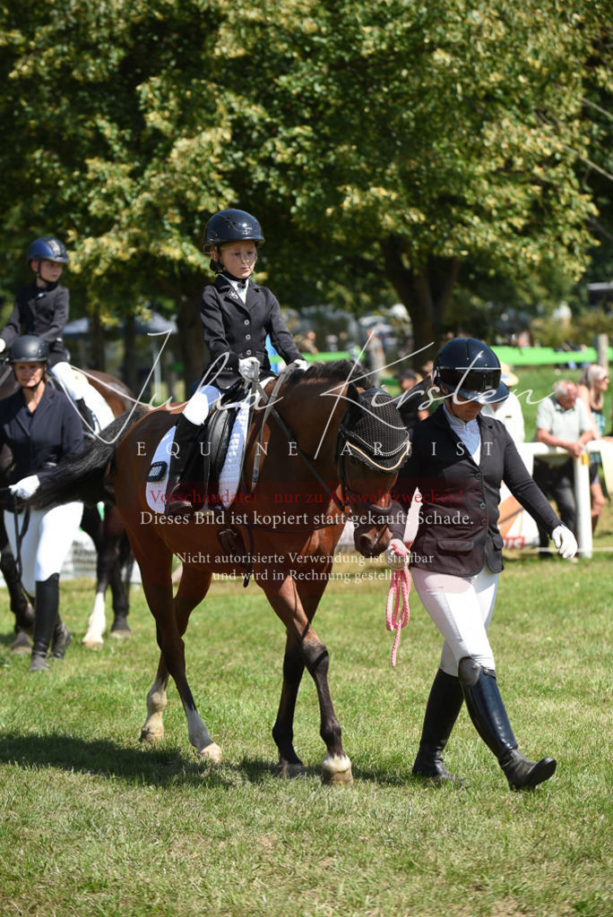 DSC_9778 | Pferde- und Turnierfotografie in Westsachsen. Pferdeportraits, Auftragszeichnungen und intuitive Kunst.