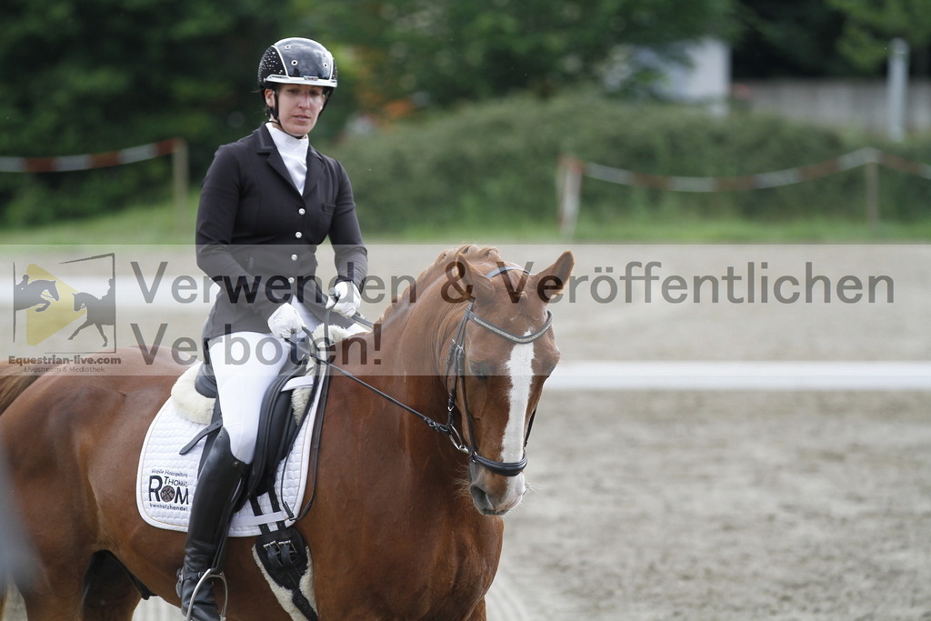 _MG_2294 | equestrian-live-com