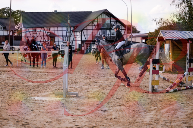 2026_10_03_Siefer-Hof_145130_Z81_30465123 | Professionelle Reitsport-, Turnier- und Eventfotografie von Robert Broda. Galerien mit ausgewählten und bearbeiteten Bildern direkt online ansehen und bestellen.