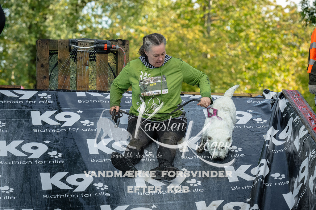 1603_ZZ92062 | kk-dogfotos