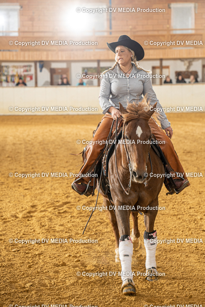 MIT00712 | dv-media-shop - Realisiert mit Pictrs.com