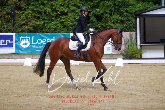 DKP40739 | Turniersportfotografie; Pferdefotografie; Dressurfotografie