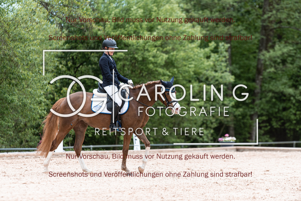 DSC_6776 | Turnierfotografin Carolin Gieschke,Reitsport Turnierfotografie Carolin G Fotografie | Turnierfotos aus Kirchheim/Teck, Esslingen, Stuttgart und dem Bodenseekreis