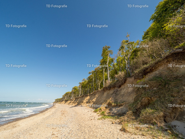 ostesse_natur-013809 | OLYMPUS DIGITAL CAMERA - Realisiert mit Pictrs.com