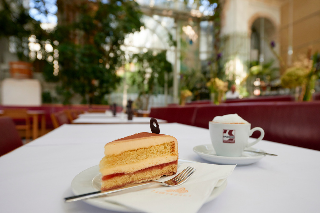Palmenhaustorte mit Melange | Wien, Austria - August 22, 2017: Cafe Palmenhaus, Palmenhaustorte mit Melange. - Realisiert mit Pictrs.com