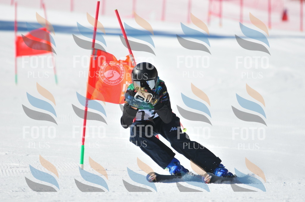 C3920 | holidayphoto