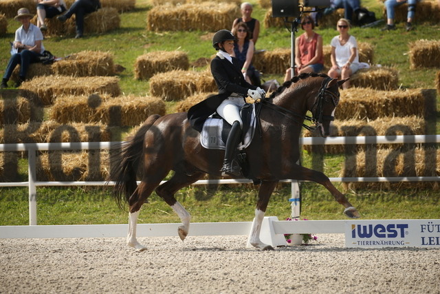 Birkhof_2022_GrandPrixSpecial_Jasmin Schaudt_Fano 3 (15) | Alle Fotos der Reiterjournal Fotografin Doris Matthaes im Reiterjournal Online-Fotoshop. - Realisiert mit Pictrs.com