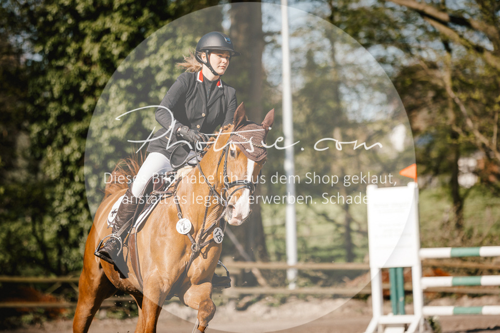 3I6A3602 | Stimmungsvolle Portraits und Reitsportfotografie im Ruhrgebiet und im Münsterland.

Pferdefotografie, Hundefotografie, Tierfotografie, Reportagen, Portraits von Tier und Mensch, Turnierfotografie in Bochum, Recklinghausen, Marl, Haltern am See, Dülmen.. - Realisiert mit Pictrs.com