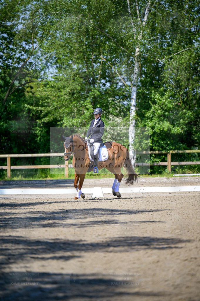 Reitturnier Lienen | Entdecke hochwertige Reitturnierfotos von Foto Oger. Professionell, emotional und authentisch – jetzt Lieblingsmomente im Shop bestellen. - Realisiert mit Pictrs.com