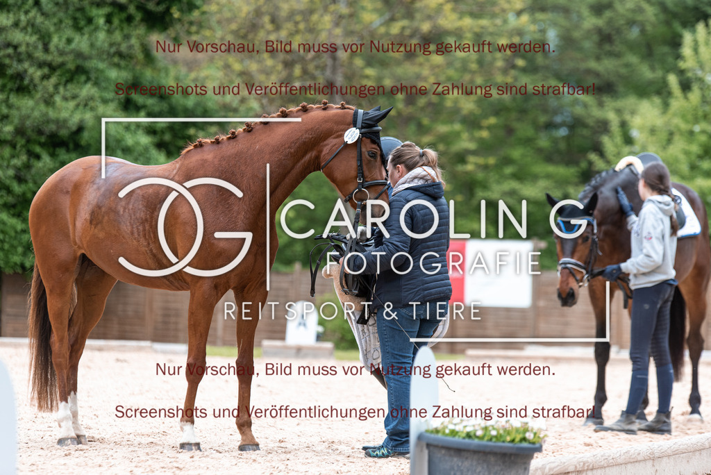 DSC_6931 | Turnierfotografin Carolin Gieschke,Reitsport Turnierfotografie Carolin G Fotografie | Turnierfotos aus Kirchheim/Teck, Esslingen, Stuttgart und dem Bodenseekreis