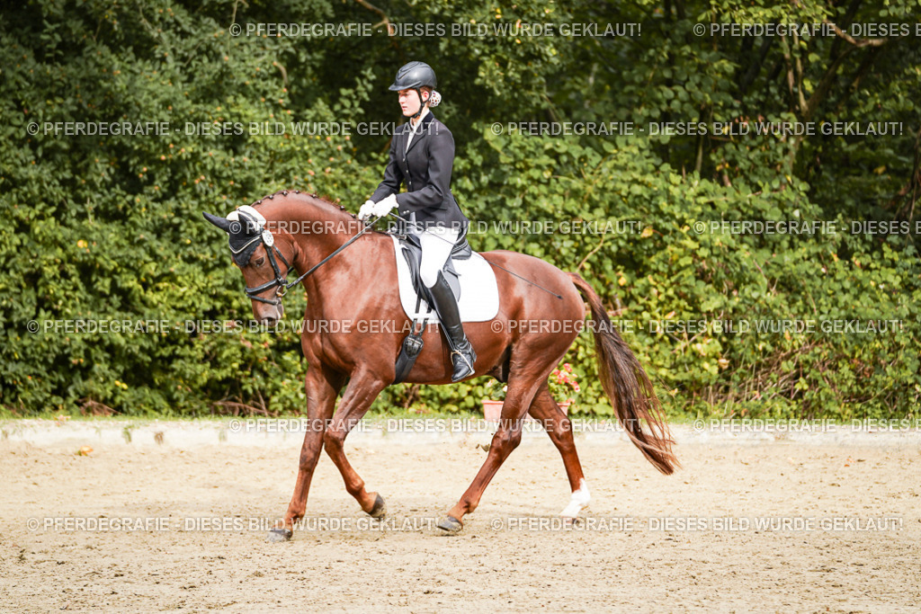 DSC00421 | Pferdegrafie