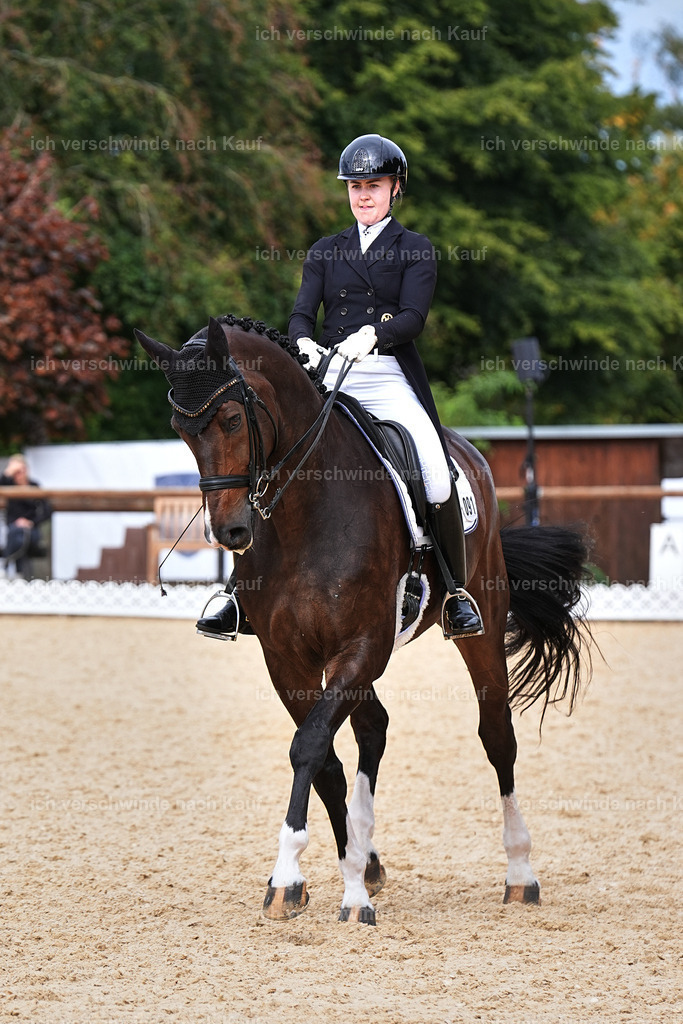 11-091-Dressur S___-Marixx-1627 | working equitationturnier fotograf videograf stoibphotography marixx film working equitation deutschland reitsport turnierfotografie eventfotografie equestrian events