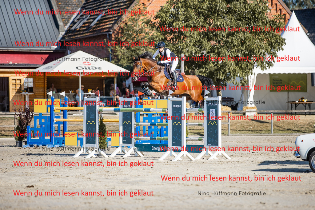BK1A8642 | Turnierbilder Turnierfotos Nina Hüffmann Turnierfotografie Pferdefotografie Tierzeichnung Haustierzeichnung Pferdezeichnung Hundezeichnung Videograf  - Realisiert mit Pictrs.com