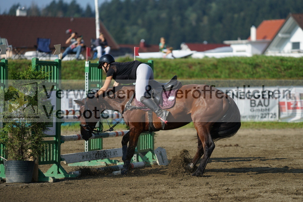 DSC02800 | equestrian-live-com