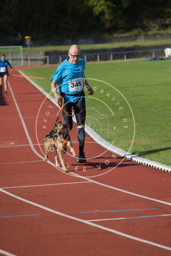 0L8A9244 | Hundefotografie, Tierfotograf, Pfotenfotografie, Fotoshooting Hund, Hunde Portrait, Hundesport, Hundeportraits, Heideshooting, Hunde, Sportfotograf, Hundefotograf, Turnierhundsport, THS,  - Realisiert mit Pictrs.com