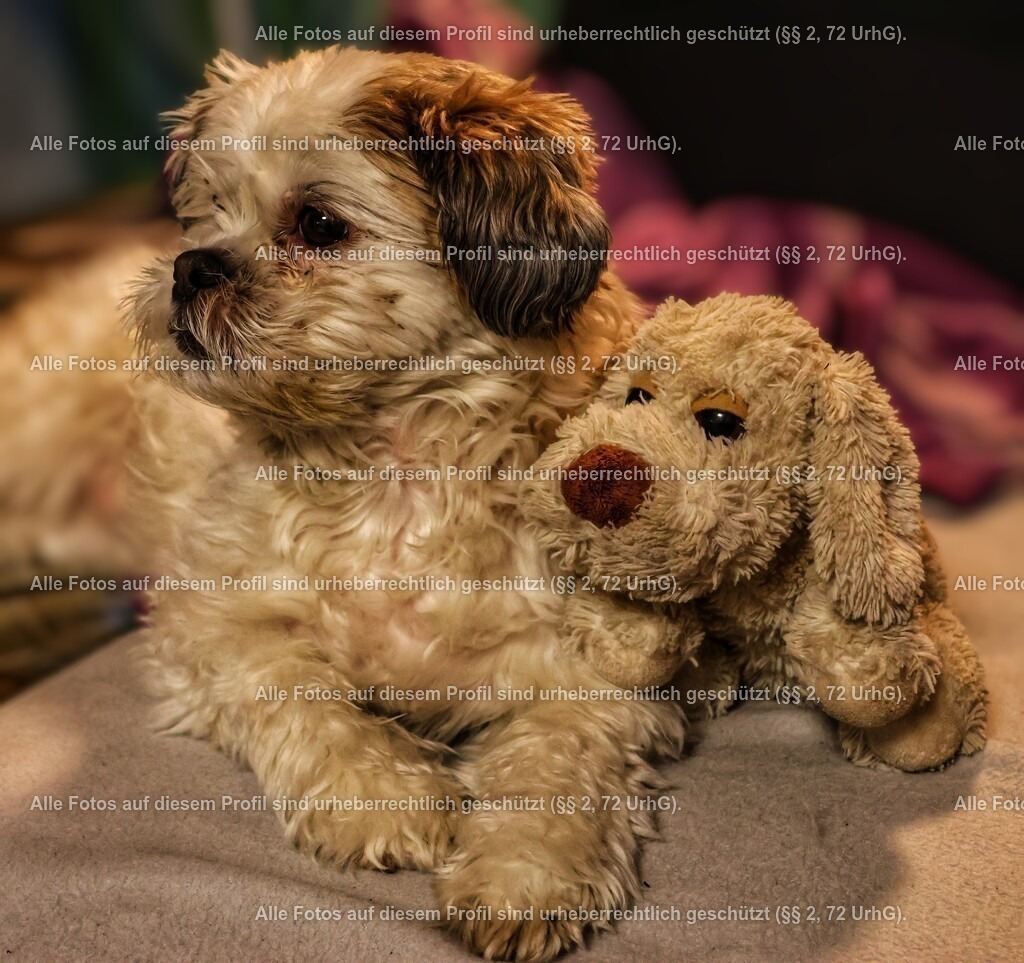 20240321200814_0C4A4084_2-01_2 | krollfotografie - Realisiert mit Pictrs.com