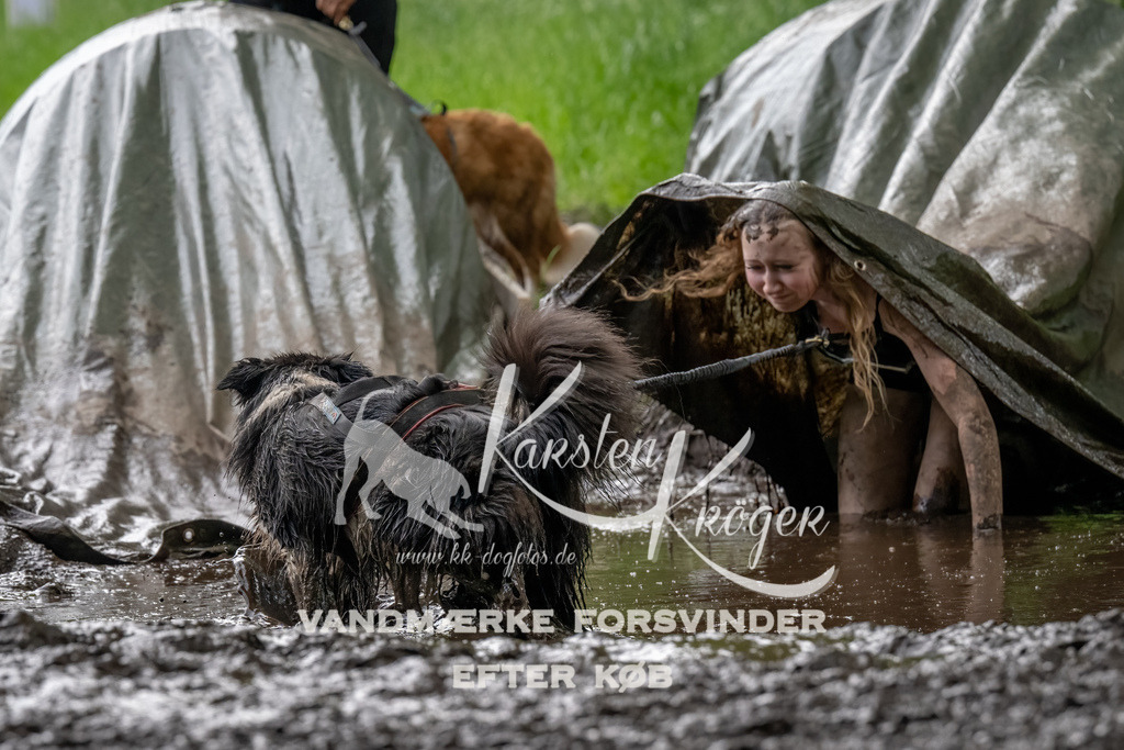 1502_ZZ91646-Bearbeitet | kk-dogfotos