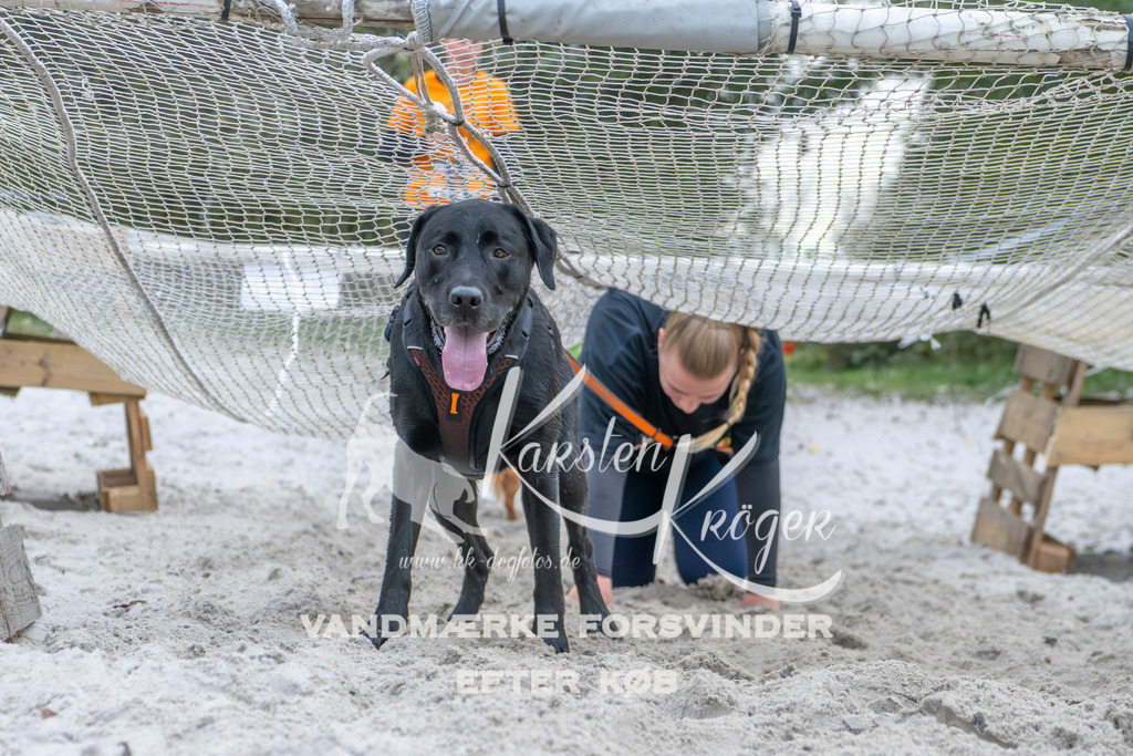 1122_ZZ96046 | kk-dogfotos