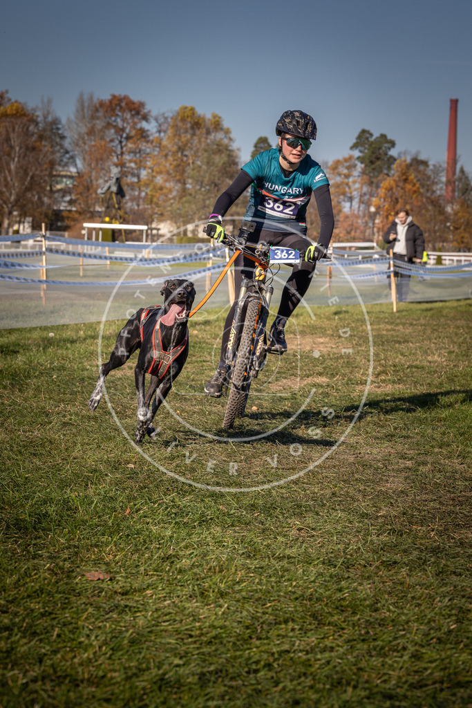 CaniXpix_0L8A6257 | Hundefotografie, Tierfotograf, Pfotenfotografie, Fotoshooting Hund, Hunde Portrait, Hundesport, Hundeportraits, Heideshooting, Hunde, Sportfotograf, Hundefotograf, Turnierhundsport, THS,  - Realisiert mit Pictrs.com