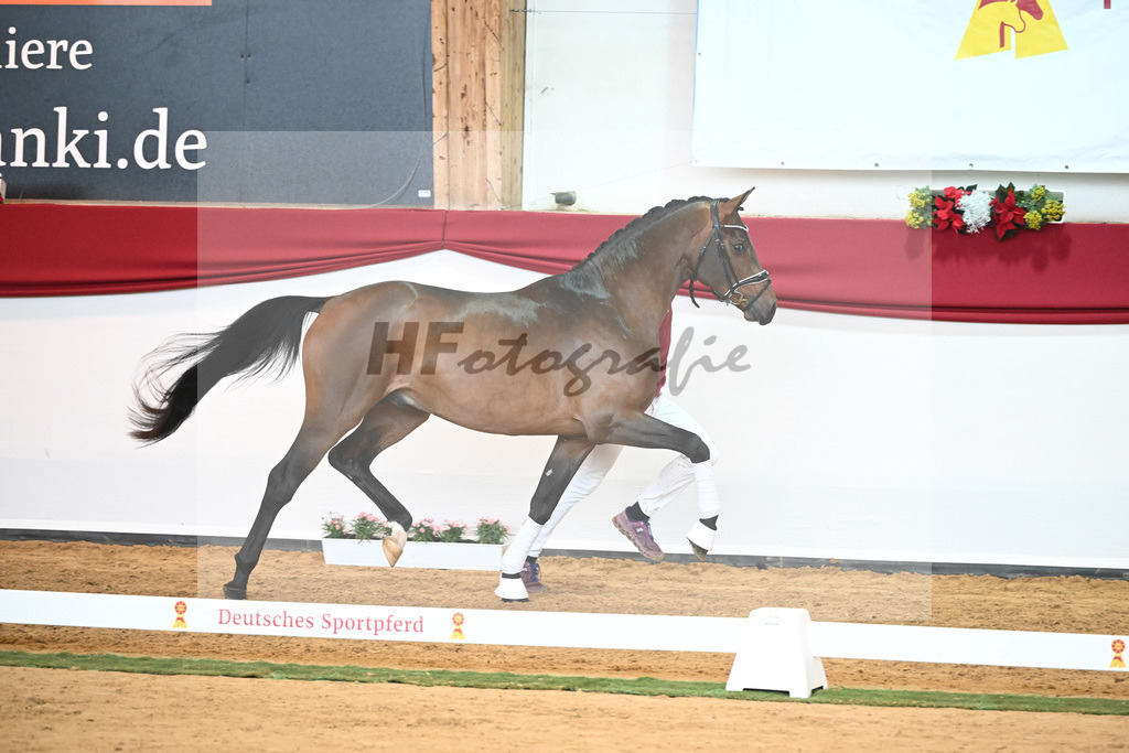 Kat-Nr. 55 Va Bene x Goldberg_Kuntz_43230538 | hf-fotografie - Realisiert mit Pictrs.com